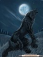 /album/fotogaleria/a-aullando-a-la-luna-jpg/